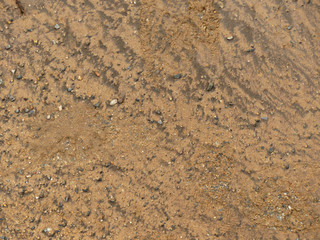 Soil texture background