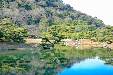 Fototapeta na wymiar Japanese garden in Kagawa, Japan