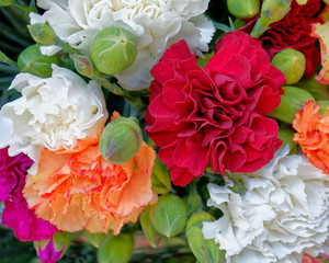 colorful carnation flowers top view closeup, natural background