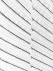Texture of white feather stucco