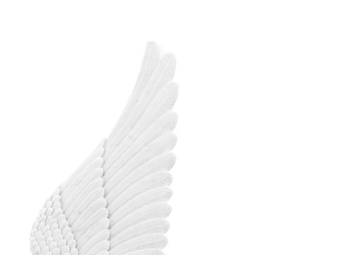 white feather stucco