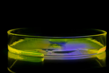 Neon chemistry