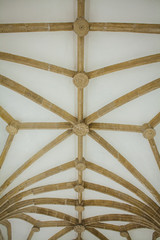 ceiling of a gothic church