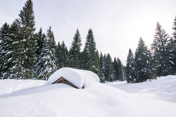 baita sepolta dalla neve nei boschi dell'altopiano di asiago in veneto