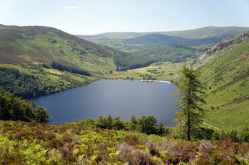 In the summertime in the Wicklow mountains. Lake Dan.