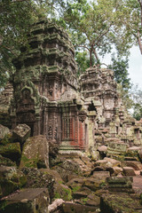 Fototapeta na wymiar Ruine Ta Prohm Tempel, Angkor, Kambodscha