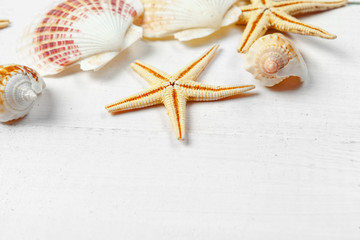 Fototapeta na wymiar seashells on wooden background.