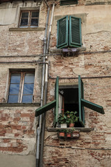 Fototapeta na wymiar flower pots by window with green window blind