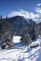 Dolina Koscieliska Tatry Zachodnie Tatry Tatrzański Park Narodowy zima TPN Góry 