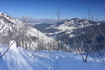 Dolina Koscieliska Tatry Zachodnie Tatrzański Park Narodowy zima TPN Góry  - obrazy, fototapety, plakaty