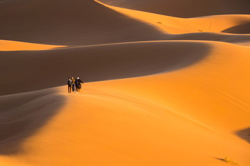 Merzouga / Morocco - March 26, 2018: Four people walking by Erg Chebbi dunes in the Sahara at sunset