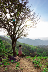 Asian female tourist enjoying from top of the mountain with valley view of Doi Pha Tang Chiang Rai.