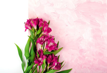 Congratulatory bouquet of flowers on a pink background. Postcard
