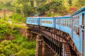 Train from Nuwara Eliya to Kandy among tea plantations in the highlands of Sri Lanka. - 249085617
