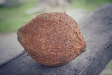 coconut food background