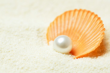 Close up image of organic pearl in a shell