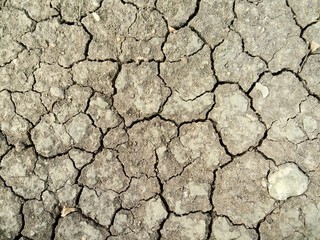 Dry soil cracking