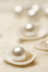 Fototapeta na wymiar Organic pearls in shells. Beautiful seashells arrangement on the white beach sand. Treasure from the sea concept.