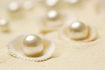 Organic pearls in shells. Beautiful seashells arrangement on the white beach sand. Treasure from...