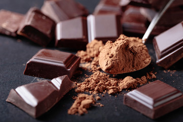 Broken chocolate pieces and cocoa powder.