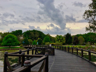 Obraz premium bridge in park