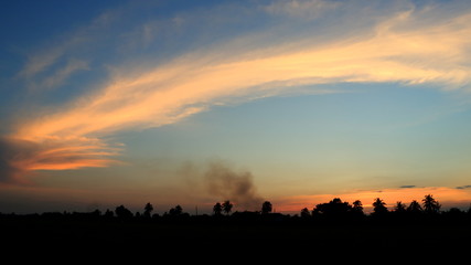 Rice field in sunrise time
