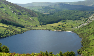 Fototapeta premium The northern part of Lake Dan.Wicklow Mountains.Ireland. 