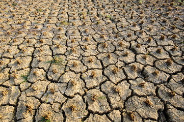 The abstract of the cracks of the ground according to the tropical climate