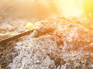 sugar in wooden spoon