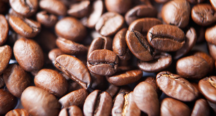grain de café en gros plan