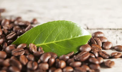 Deurstickers graines de café torrréfiées © auryndrikson