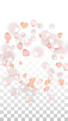 Vector Realistic Petals and Hearts Confetti. Flying Sakura and Hearts on Transparent Background. Wedding Invitation Background. Spring Romance Poster. Vector Illustration for Anniversary Design.