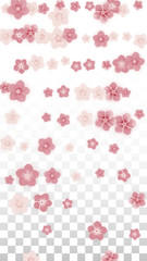 Vector Realistic Pink Flowers Falling on Transparent Background.  Spring Romantic Flowers Illustration. Flying Petals. Sakura Spa Design. Blossom Confetti. Design Elements for Wedding Decoration.