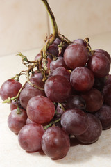 Red grapes bunch