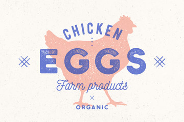 Chicken Eggs. Vintage hand drawn logo, retro print