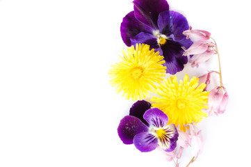 flower arrangement on a white background, isolated, place for text