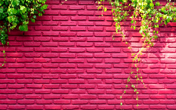Real red brick wall pattern and a vine climb on use for exterior design or backdrop © iLee