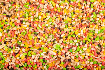 Food for birds. Cereal seeds - Canary seed.