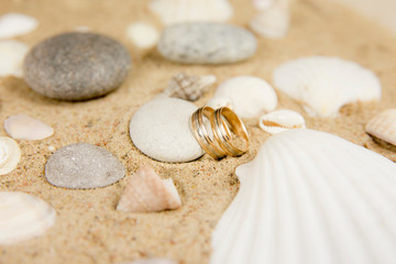 Selective focus on two golden wedding rings on nice golden sand, surrounded by white tropical sea shells. Tropical wedding or honeymoon destination background concept. Studio shot. Room for text.