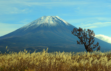 Obraz premium 富士山冠雪