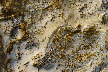 Stones under water