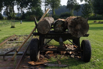 Wood logs on old cart at a farm