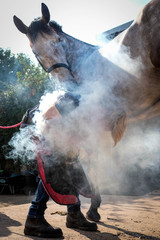 Farrier or blacksmith replacing a horseshoe surrounded by steam and smoke.