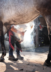 Farrier or Blacksmith replacing a horseshoe surrounded by steam and smoke.
