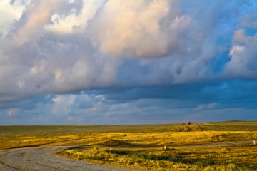 Fototapeta premium The road through the sloping field before the rain.