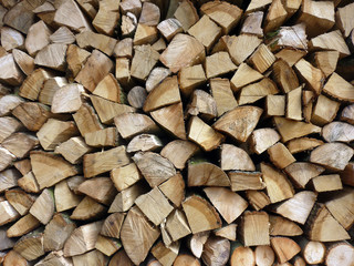 Piled up and felled Oak Wood, Background