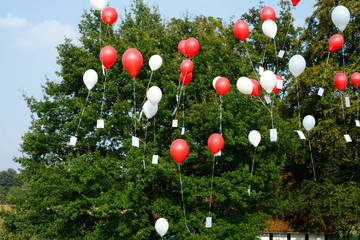 Red and white ballons flying with wish cards summer day green tree in the background