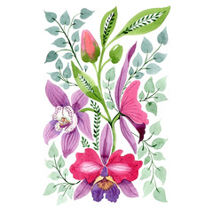 Purple pink orchid floral botanical flower. Watercolor background set. Isolated ornament illustration element.