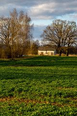 Fototapeta na wymiar Landscape with cereal field, old farm house and blue sky.
