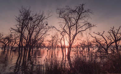 Lake Baringo - Rift Valley - Kenya
